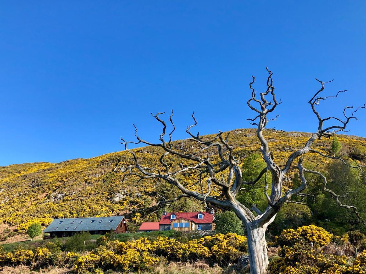 Nan'S Cottage Б'юлі Екстер'єр фото